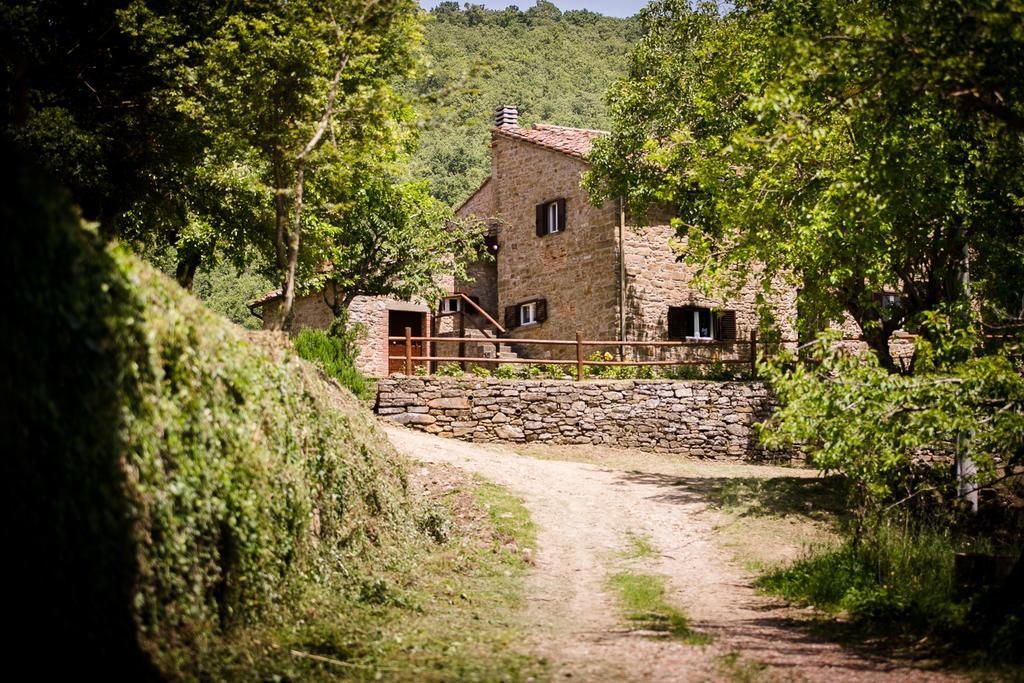 カスティリオーン・フィオレンティーノBorgo Al Teto La Viteアパートメント エクステリア 写真