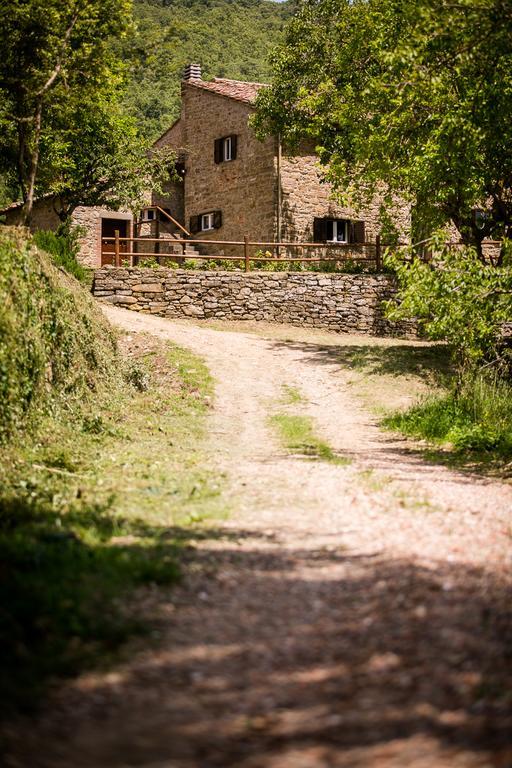 カスティリオーン・フィオレンティーノBorgo Al Teto La Viteアパートメント エクステリア 写真