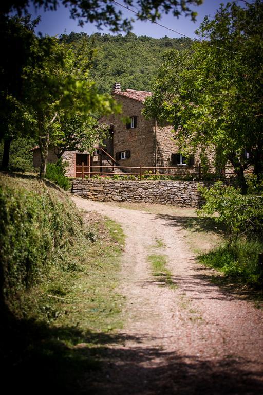 カスティリオーン・フィオレンティーノBorgo Al Teto La Viteアパートメント エクステリア 写真