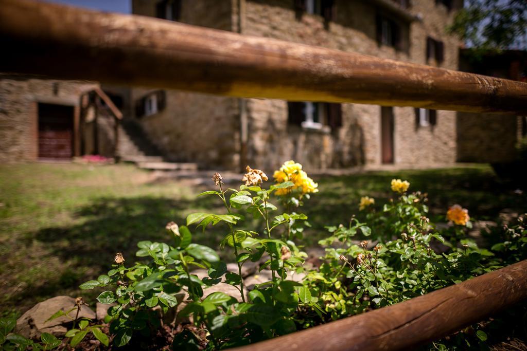 カスティリオーン・フィオレンティーノBorgo Al Teto La Viteアパートメント エクステリア 写真
