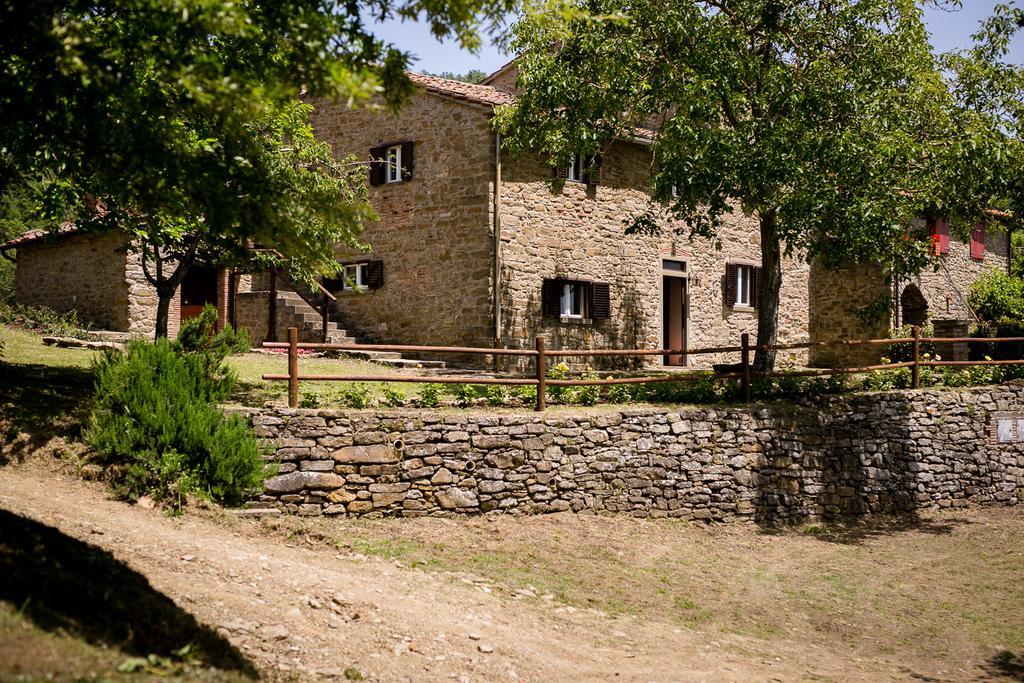 カスティリオーン・フィオレンティーノBorgo Al Teto La Viteアパートメント エクステリア 写真